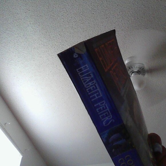 The Copenhagen Connection by Elizabeth Peters - Picture 2 of 3